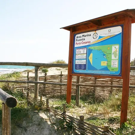 Holiday home Casa Gino A 70 Mt Dalla Di *